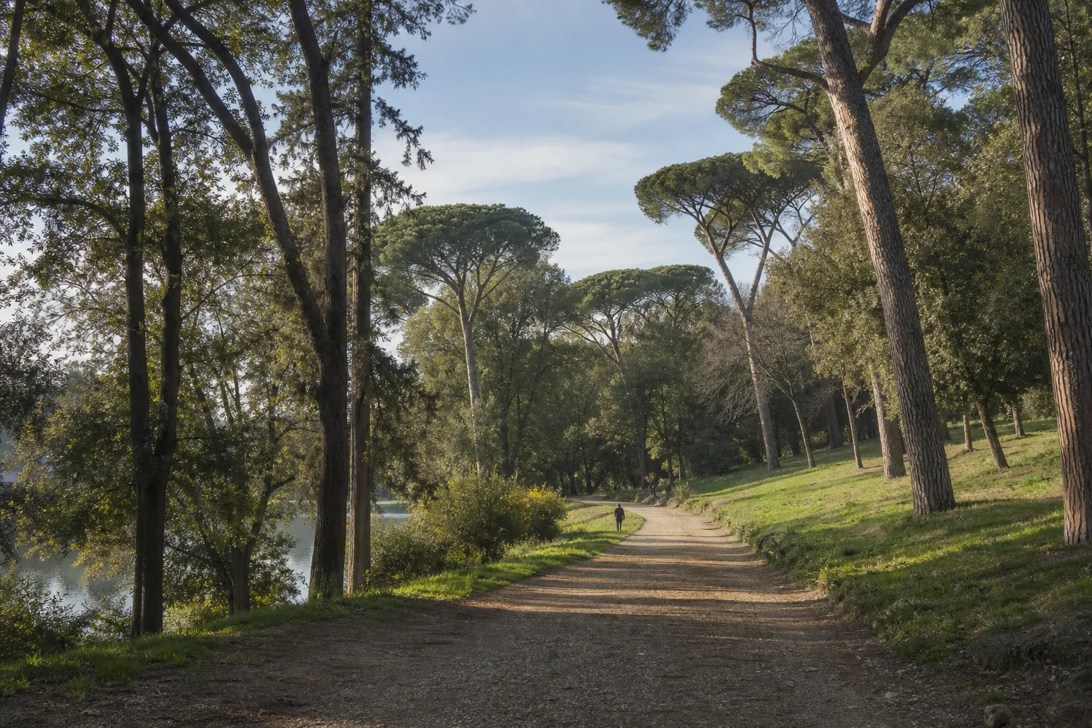 Villa Ada Savoia Parkland Trails and Pine Groves